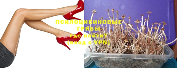 соль курить ск Алексеевка