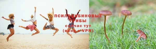 apvp Алексин