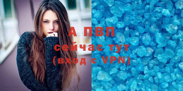 apvp Алексин