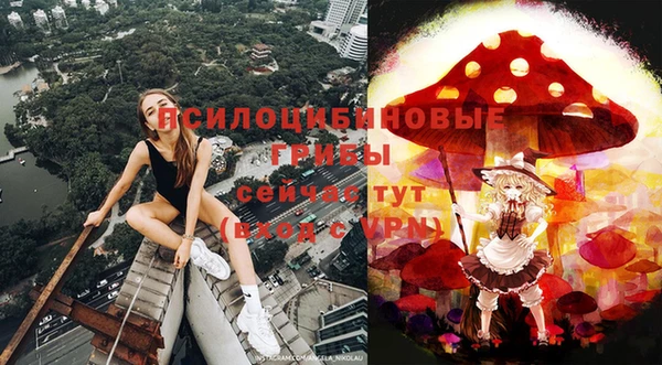 гидропоника Алзамай