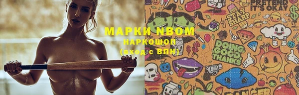 apvp Алексин